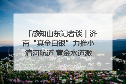 感知山东记者谈｜济南“真金白银”力推小清河航道 黄金水道激活区域经济新动能
