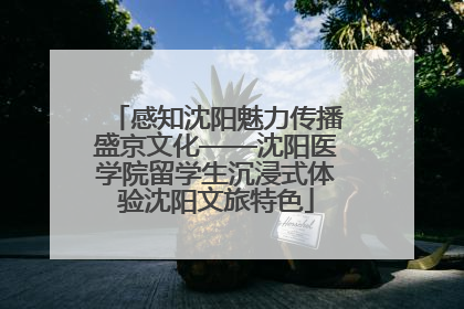 感知沈阳魅力传播盛京文化——沈阳医学院留学生沉浸式体验沈阳文旅特色