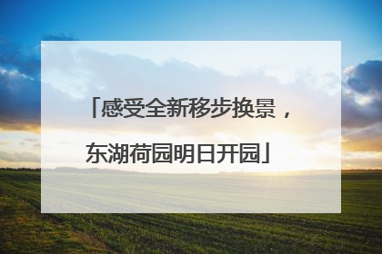 感受全新移步换景，东湖荷园明日开园