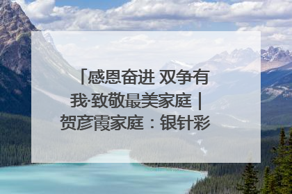 感恩奋进 双争有我·致敬最美家庭｜贺彦霞家庭：银针彩线绣出好日子