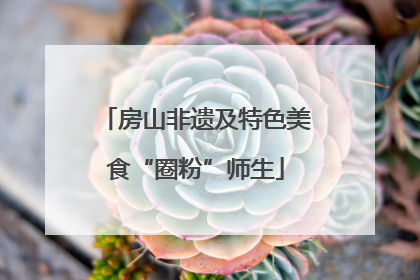 房山非遗及特色美食“圈粉”师生