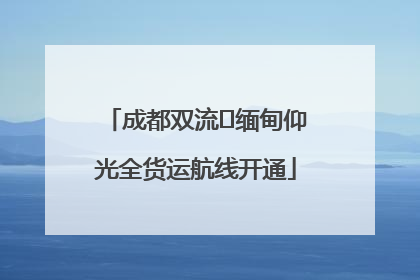成都双流⇌缅甸仰光全货运航线开通