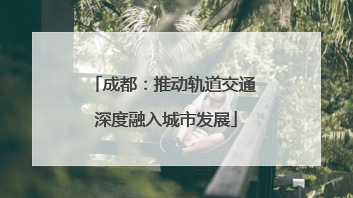成都：推动轨道交通深度融入城市发展