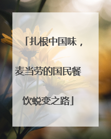扎根中国味，麦当劳的国民餐饮蜕变之路