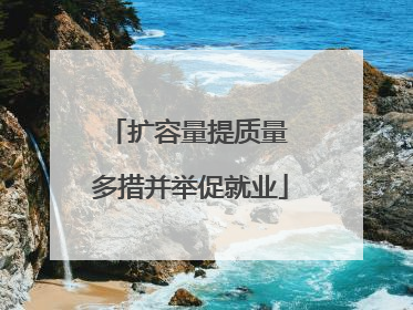 扩容量提质量 多措并举促就业
