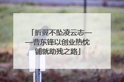 折翼不坠凌云志——曹东锋以创业热忱铺就助残之路