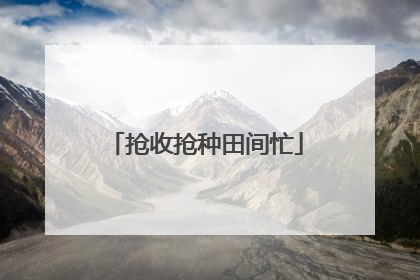 抢收抢种田间忙