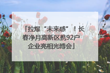 拉爆“未来感”！长春净月高新区携92户企业亮相光博会