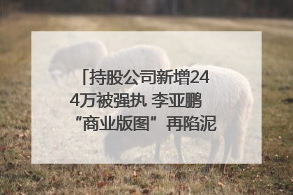 持股公司新增244万被强执 李亚鹏“商业版图”再陷泥潭？｜科技观察
