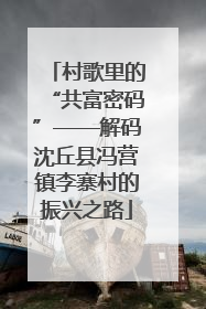 村歌里的“共富密码”——解码沈丘县冯营镇李寨村的振兴之路