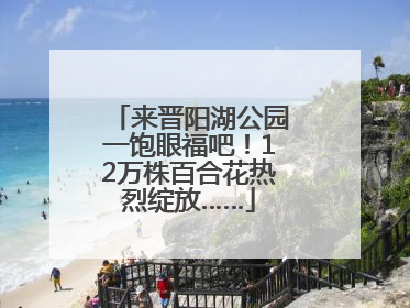 来晋阳湖公园一饱眼福吧！12万株百合花热烈绽放……