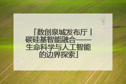 数创泉城发布厅丨碳硅基智能融合——生命科学与人工智能的边界探索