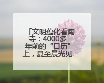 文明蕴化看陶寺：4000多年前的“日历”上，夏至晨光见证先民智慧