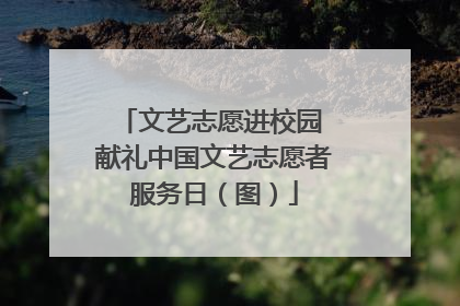 文艺志愿进校园 献礼中国文艺志愿者服务日（图）