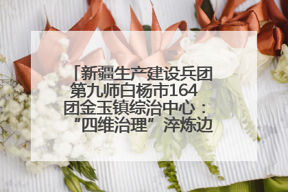 新疆生产建设兵团第九师白杨市164团金玉镇综治中心：“四维治理”淬炼边疆“枫桥样本”