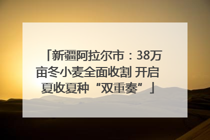 新疆阿拉尔市：38万亩冬小麦全面收割 开启夏收夏种“双重奏”