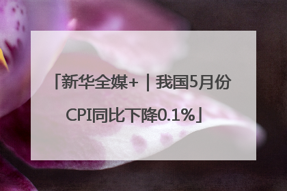 新华全媒+｜我国5月份CPI同比下降0.1%