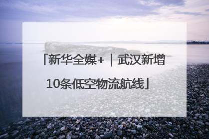 新华全媒+｜武汉新增10条低空物流航线