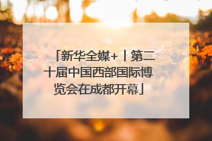新华全媒+丨第二十届中国西部国际博览会在成都开幕