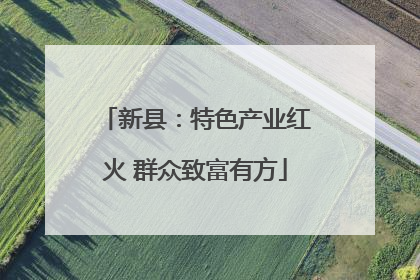 新县：特色产业红火 群众致富有方