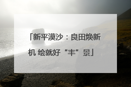 新平漠沙：良田焕新机 绘就好“丰”景