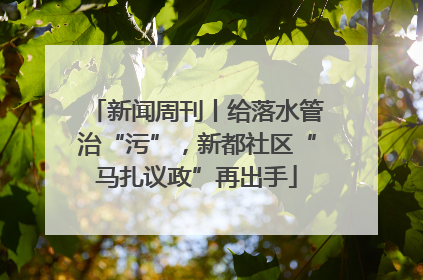 新闻周刊丨给落水管治“污”，新都社区“马扎议政”再出手