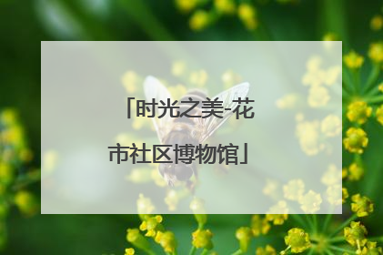 时光之美-花市社区博物馆