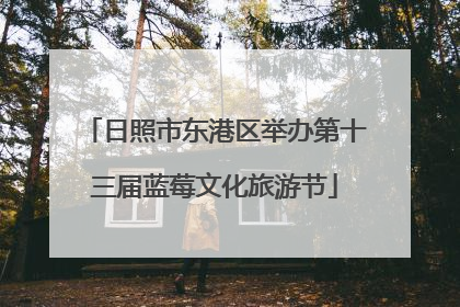 日照市东港区举办第十三届蓝莓文化旅游节