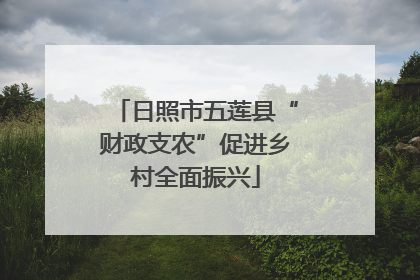 日照市五莲县“财政支农”促进乡村全面振兴
