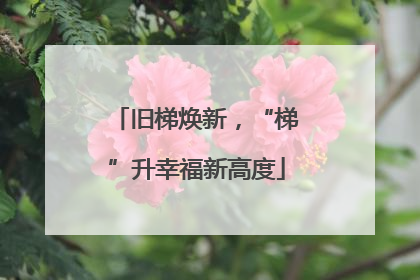 旧梯焕新，“梯”升幸福新高度