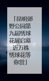 昆明郊野公园第九届绣球花展启幕 近万株绣球花等你赏