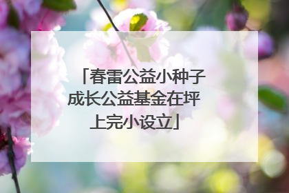 春雷公益小种子成长公益基金在坪上完小设立