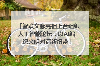 智联文脉亮相上合组织人工智能论坛：以AI编织文明对话新纽带