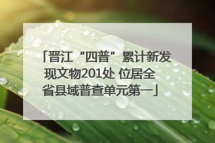 晋江“四普”累计新发现文物201处 位居全省县域普查单元第一