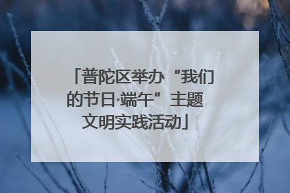 普陀区举办“我们的节日·端午”主题文明实践活动