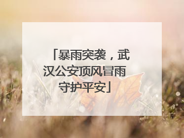 暴雨突袭，武汉公安顶风冒雨守护平安