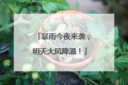 暴雨今夜来袭，明天大风降温！