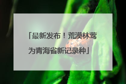 最新发布！荒漠林莺为青海省新记录种