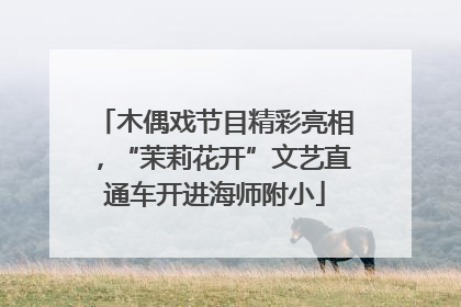 木偶戏节目精彩亮相，“茉莉花开”文艺直通车开进海师附小