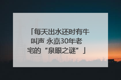 每天出水还时有牛叫声 永嘉30年老宅的“泉眼之谜”
