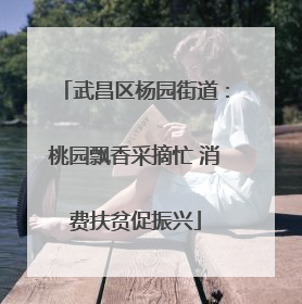 武昌区杨园街道：桃园飘香采摘忙 消费扶贫促振兴