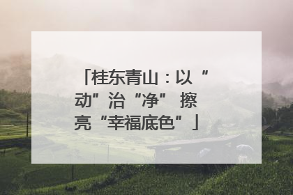 桂东青山：以“动”治“净” 擦亮“幸福底色”