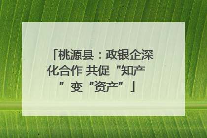桃源县：政银企深化合作 共促“知产”变“资产”