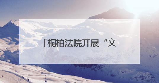 桐柏法院开展“文明服务我出彩 群众满意在窗口”活动