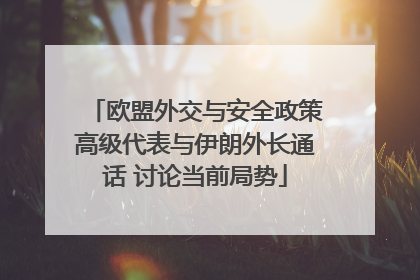 欧盟外交与安全政策高级代表与伊朗外长通话 讨论当前局势