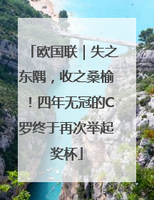 欧国联｜失之东隅，收之桑榆！四年无冠的C罗终于再次举起奖杯
