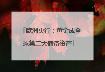 欧洲央行：黄金成全球第二大储备资产