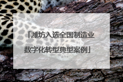 潍坊入选全国制造业数字化转型典型案例