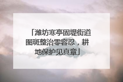 潍坊寒亭固堤街道图斑整治零容忍，耕地保护见真章