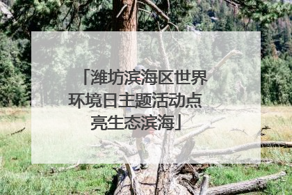 潍坊滨海区世界环境日主题活动点亮生态滨海
